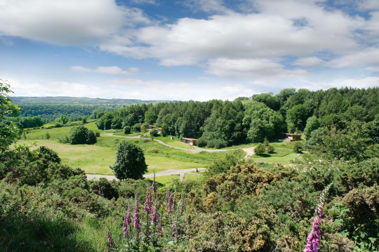 Yorkshire Dales Lodge 3 Family 3 Bed Richmond  Kültér fotó