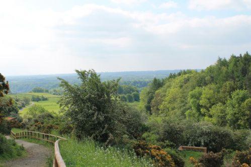 Yorkshire Dales Lodge 3 Family 3 Bed Richmond  Kültér fotó